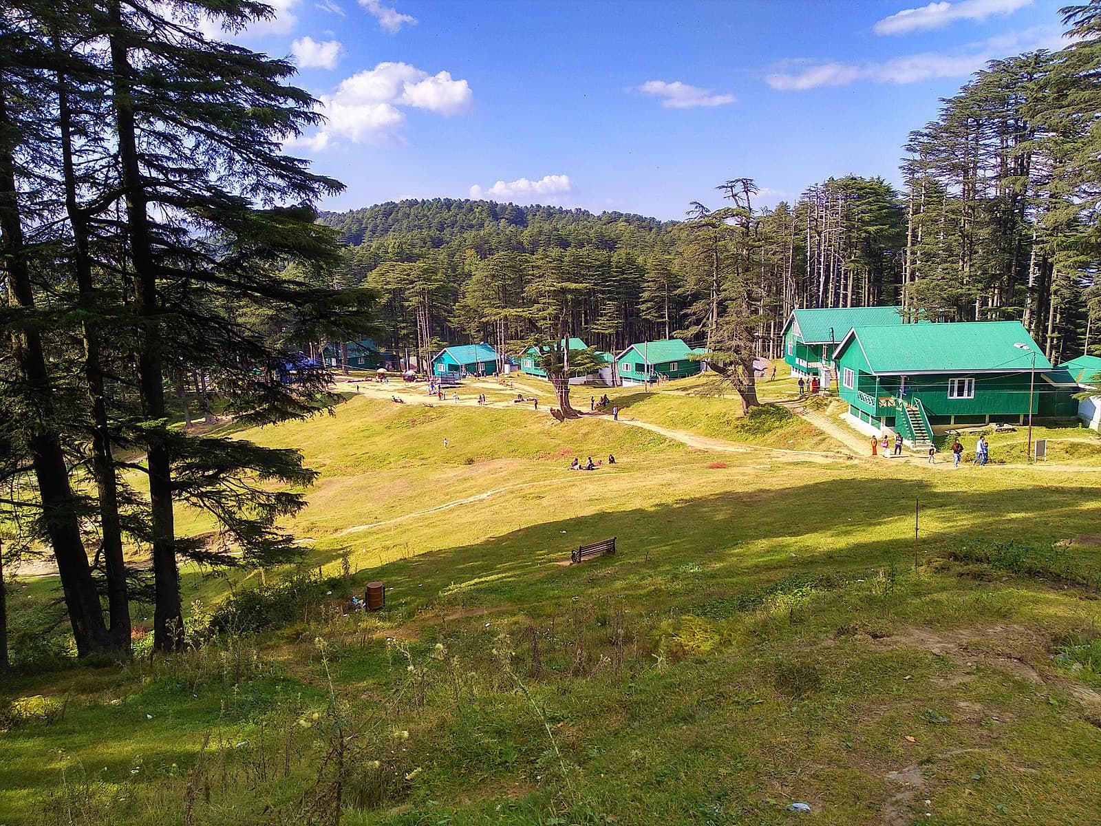 Green meadows of Patnitop near Karan Resort